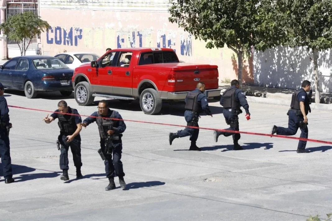 WhatsApp-Image-2026-04-04-at-09.22.04