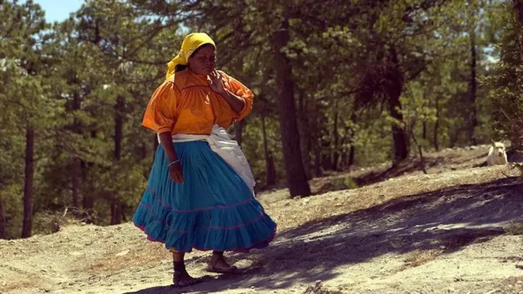 Chihuahua destaca por su diversidad de pueblos indígenas y afromexicanos