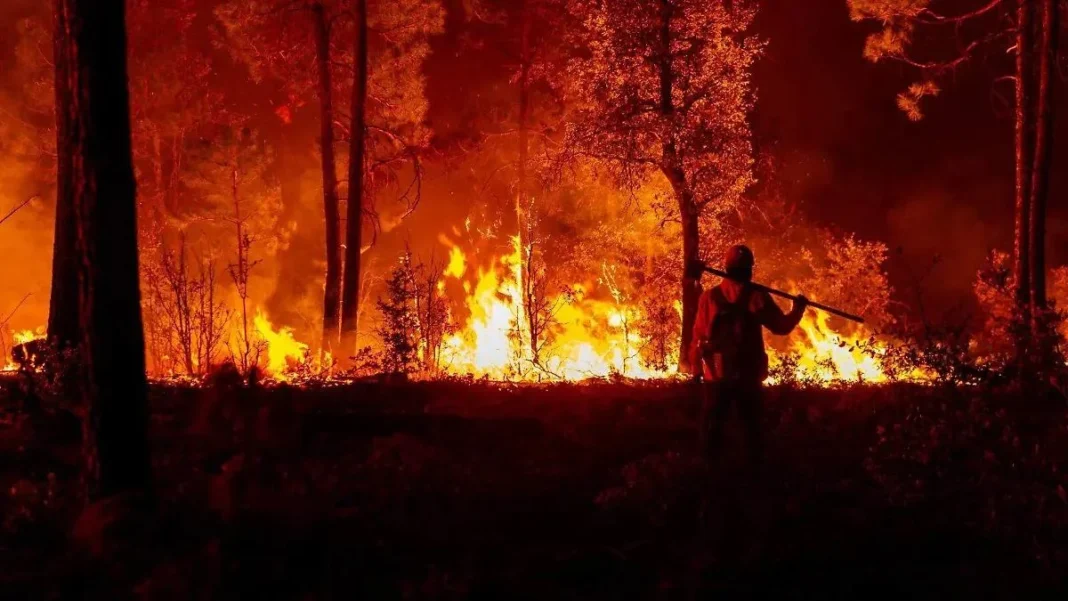 Chihuahua reporta siete incendios forestales activos con 846 hectáreas afectadas