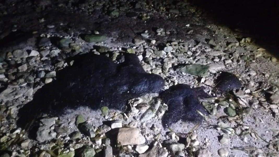 Manchas de hidrocarburo en playas de anidación de tortugas en Campeche