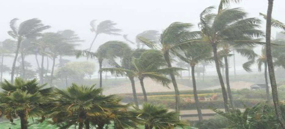 Nayarit prepara fondo preventivo para actuar ante posibles huracanes