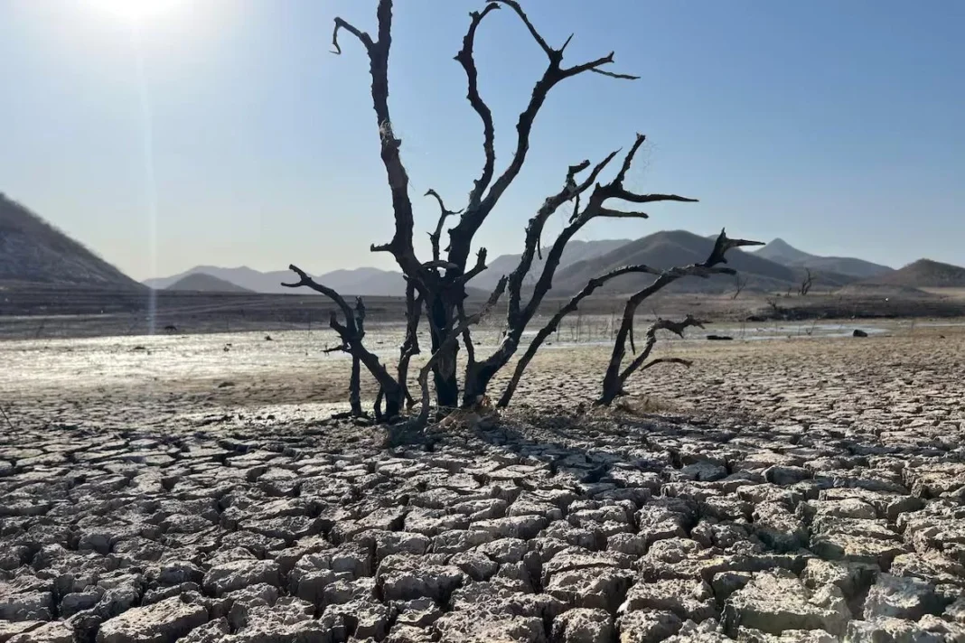 Sonora presenta un 33% de territorio afectado por sequía; pronostican lluvias para meses de junio y julio