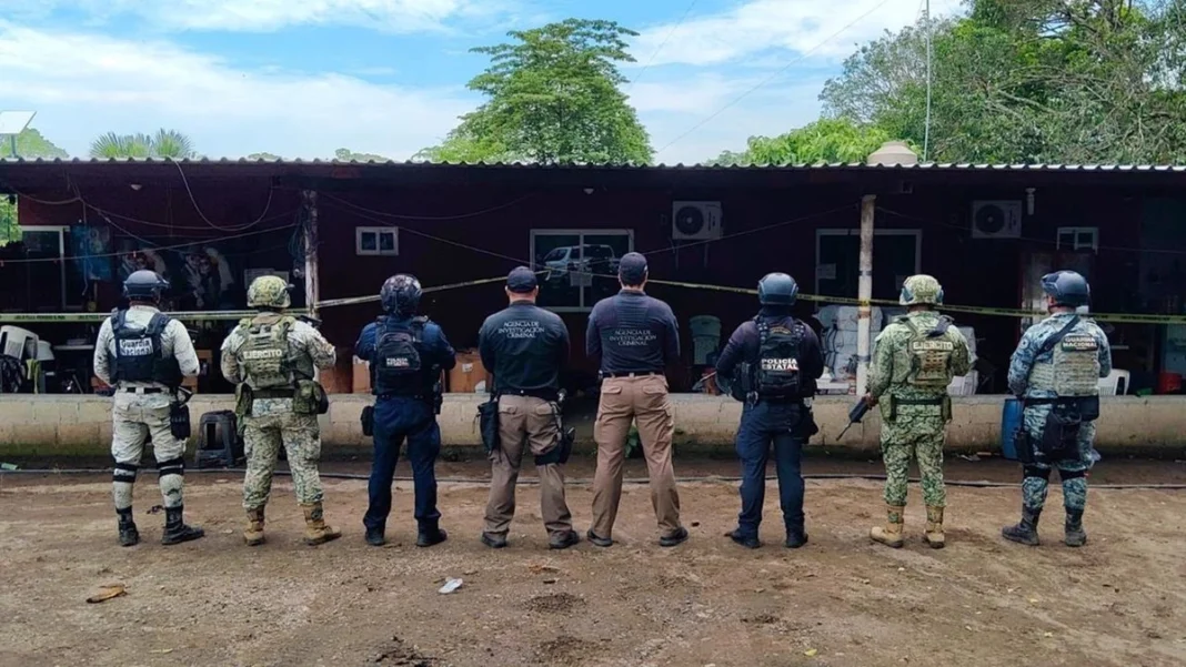 Aseguran gran arsenal de armas en Veracruz