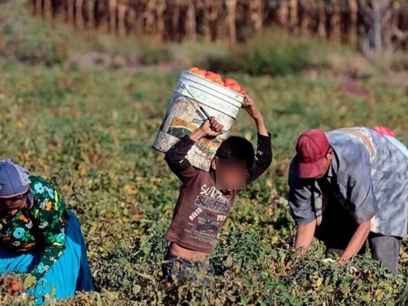 Empleadores que contraten menores podrían recibir multas de hasta 586 mil pesos en Nayarit