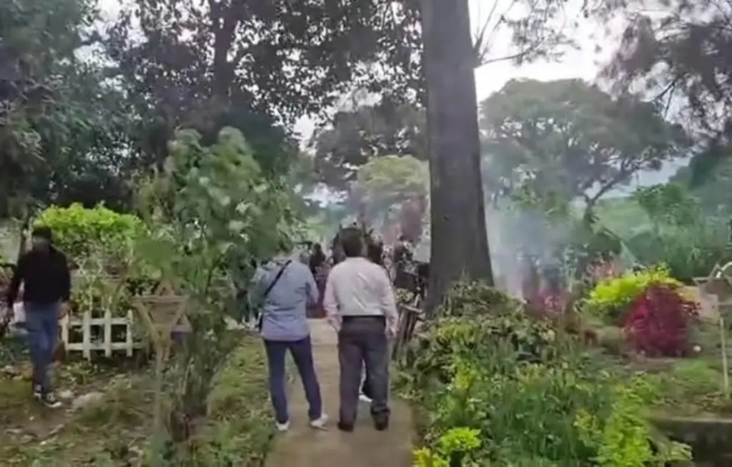 Abejas atacan a 30 personas en panteón en Rafael Delgado, Veracruz