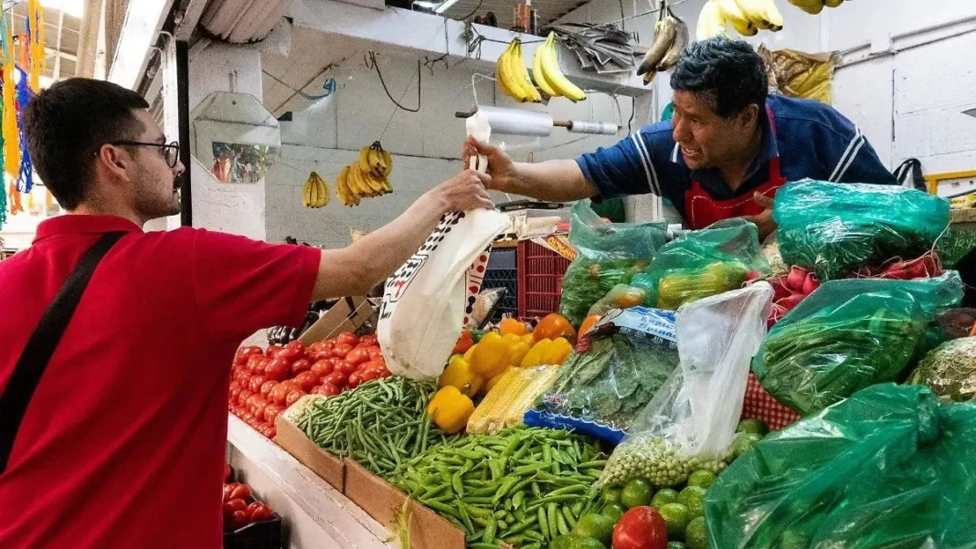 Analizan trazabilidad de lechuga