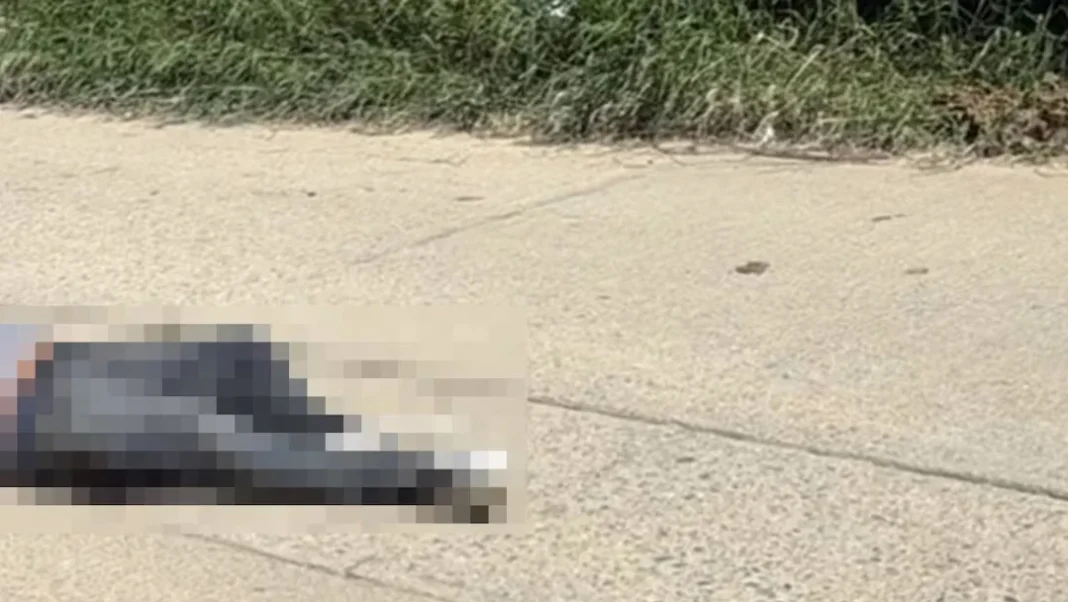 Asesinan a exregidor
