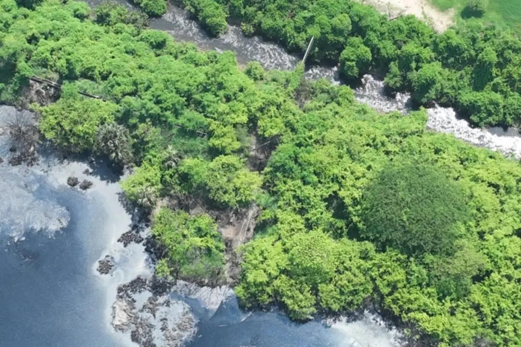 Demandan pescadores el saneamiento del río Papaloapan tras contaminación