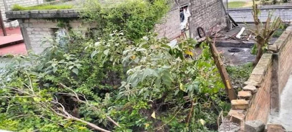 Nayarit recuperará predios baldíos y abandonados para crear áreas verdes y huertos urbanos