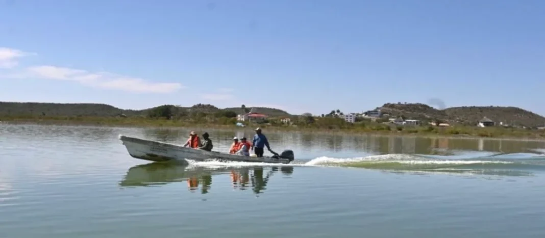 Restringen captura de robalo en costas de Tamaulipas por temporada reproductiva