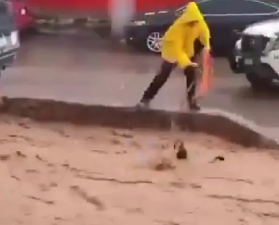 Un perro fue rescatado de ser arrastrado por la corriente en Nogales