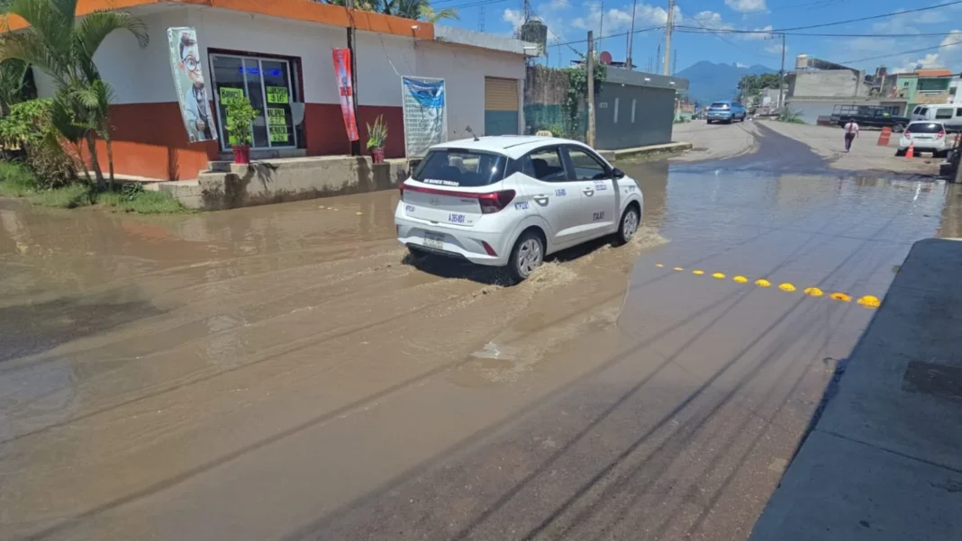 Vecinos viven entre aguas negras