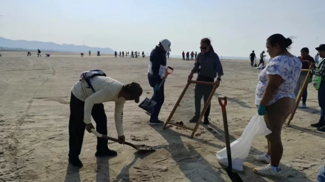 Comunidad de Salinas del Marqués detiene saneamiento de playa