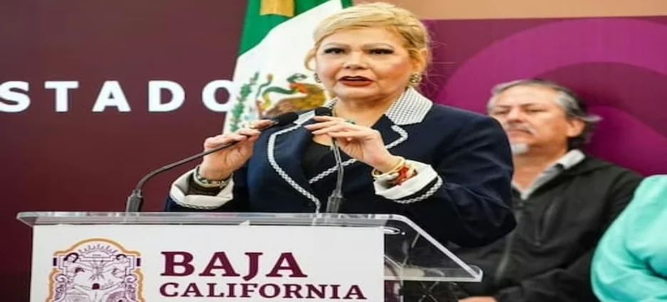 Fiscalía investiga hallazgo de cuatro cuerpos dentro de vehículos en Tijuana