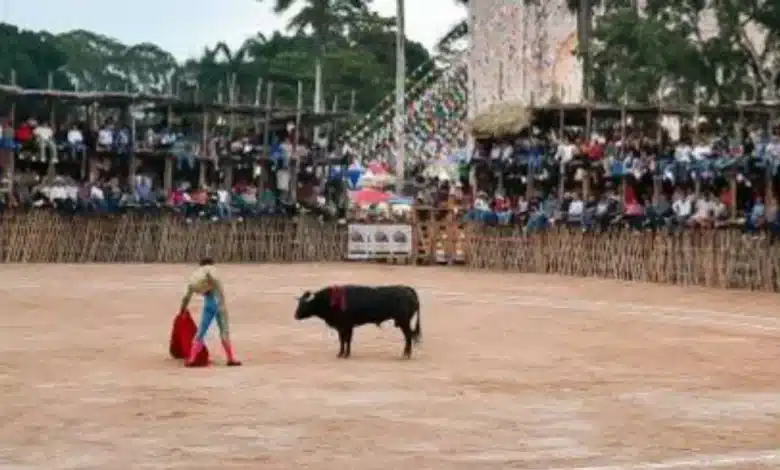 Animal Héroes y PETA Latino presentan nuevo amparo contra maltrato a toros en Sotuta, Yucatán