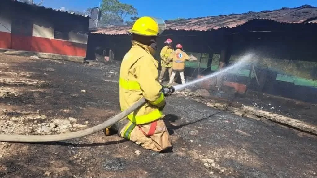 Incendio consume granja de Alpera en Tepic