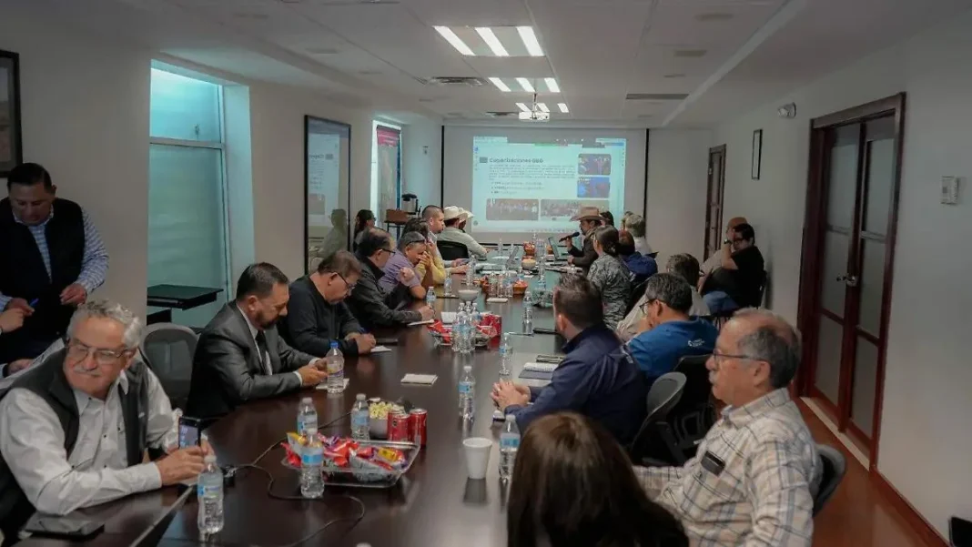 Chihuahua inspecciona más de 247 mil cabezas de ganado contener el gusano barrenador