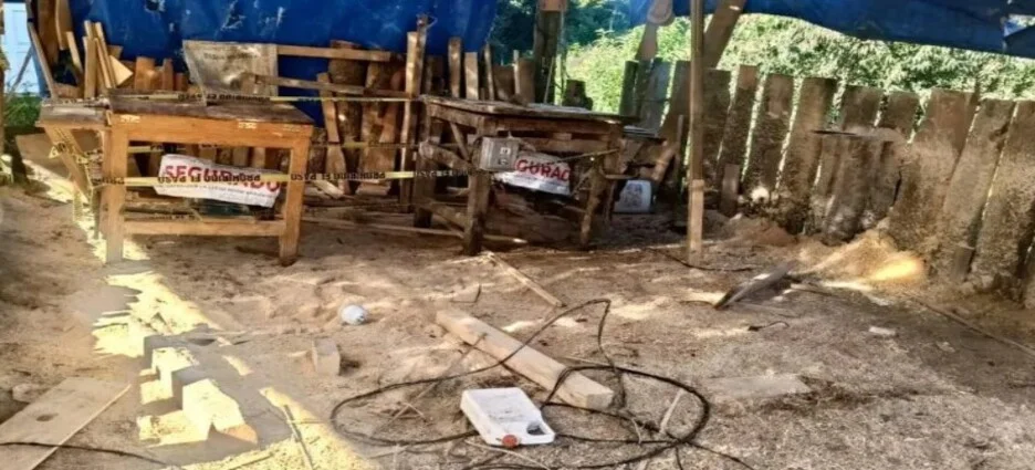Clausuran aserraderos tras operativo contra la tala clandestina al sur del Edomex