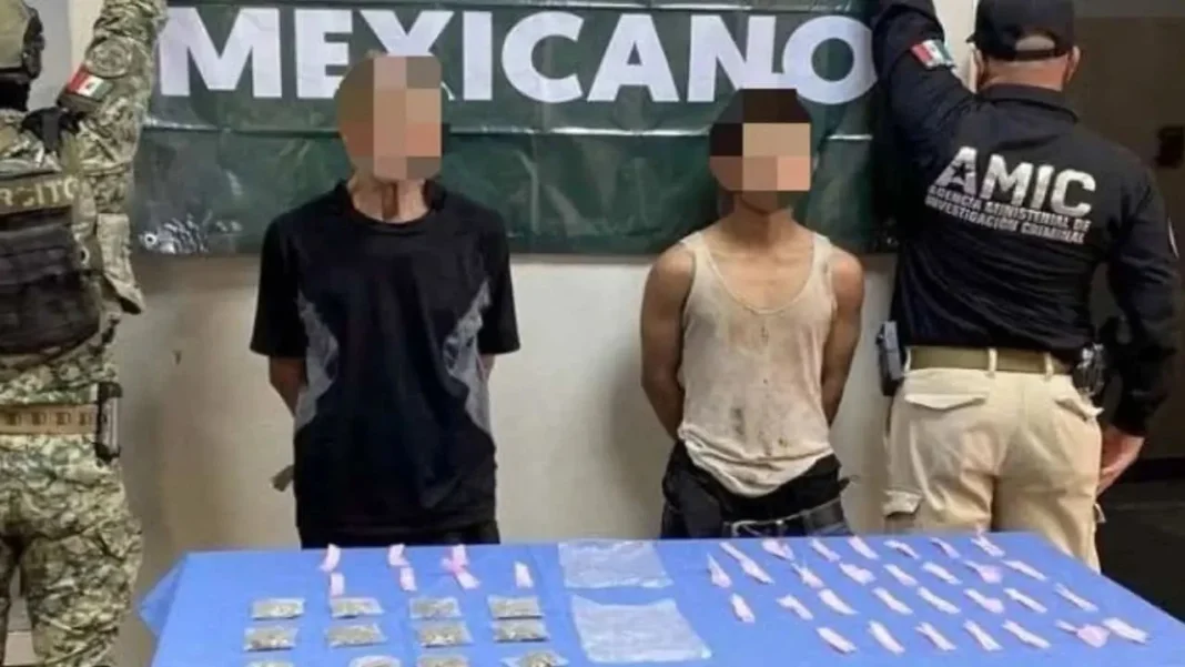 Decomisan más de seis millones de dosis de droga en Sonora