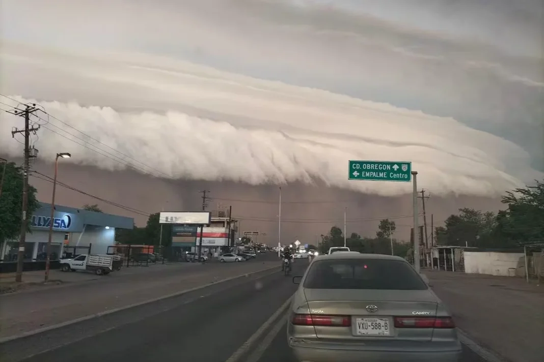 Frente frío 2 mantiene el descenso de temperaturas, fuertes vientos podrían provocar tolvaneras en 5 regiones