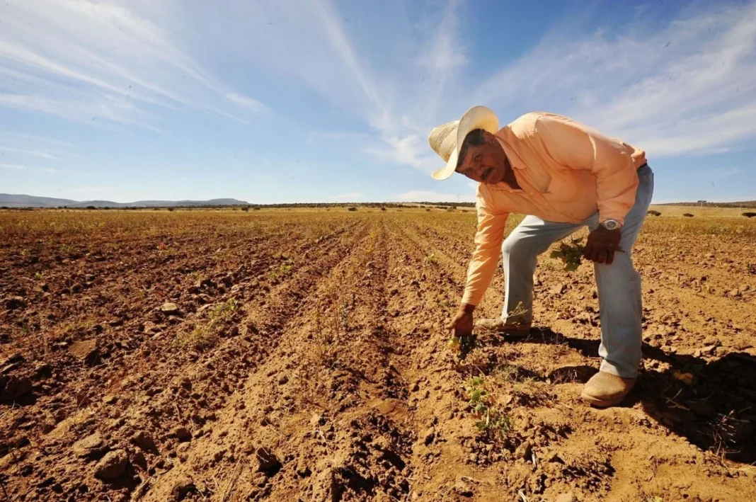Jalisco destina 9.8 millones de pesos para apoyar a productores afectados por sequía y granizadas