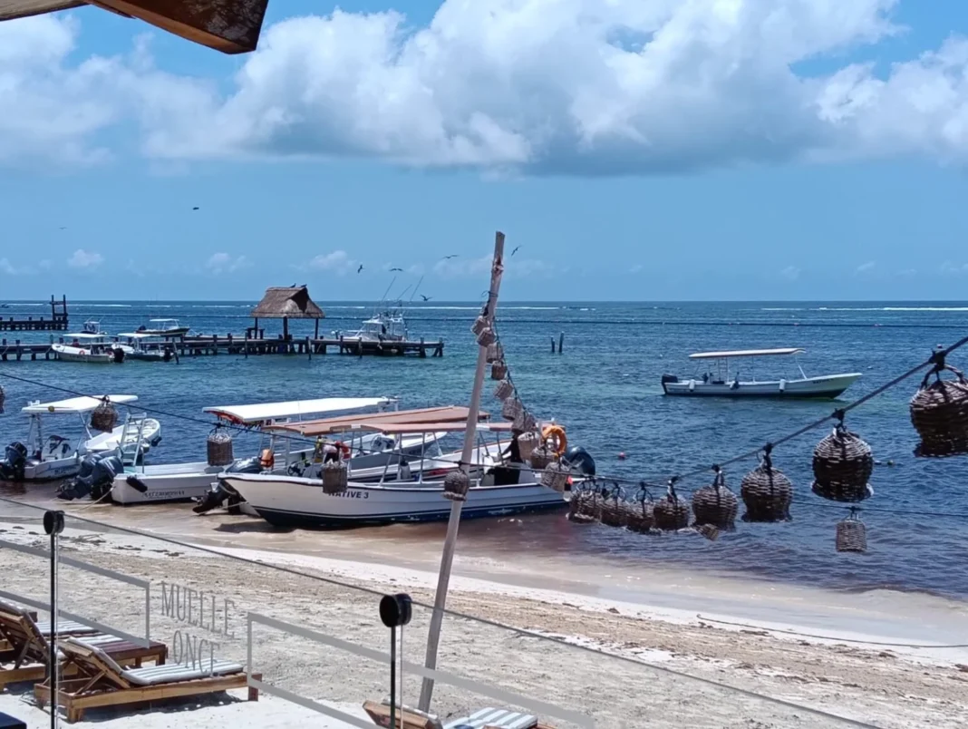 Prevén expandir rutas comerciales marítimas en Puerto Morelos